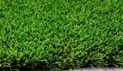 MAXX LAWN WB60